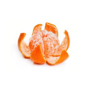 尼姑1-42集免费观看视频
