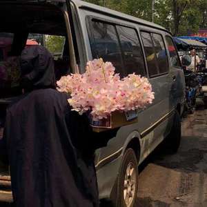 尼姑1-42集免费观看视频
