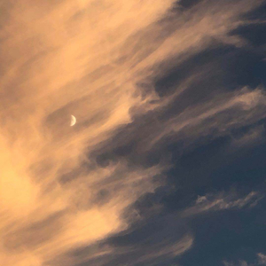 尼姑1-42集免费观看视频
