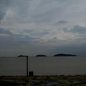 尼姑1-42集免费观看视频
