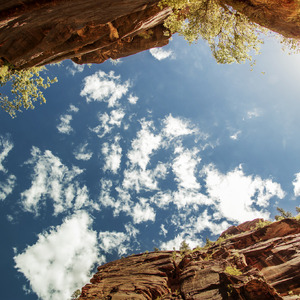 尼姑1-42集免费观看视频
